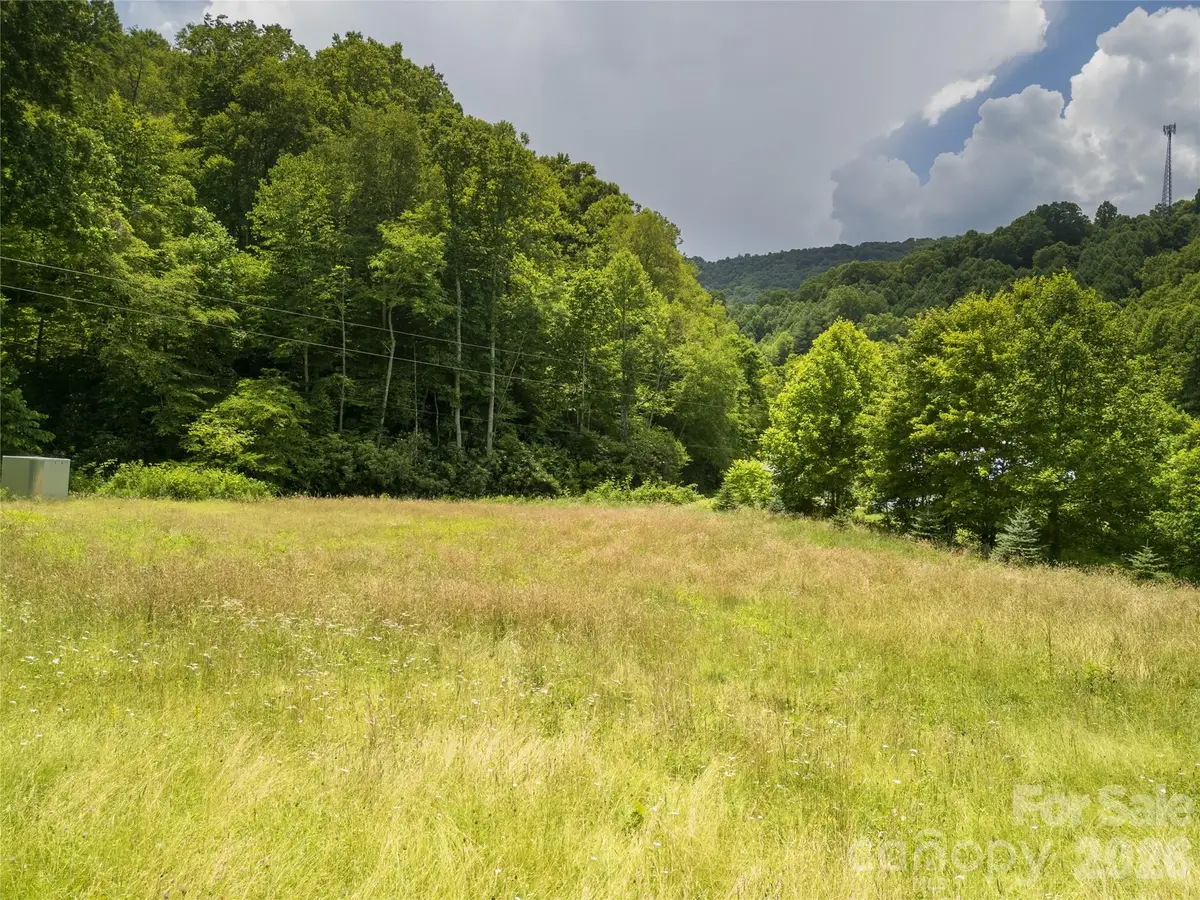 168 Smith Creek Road, Mars Hill, NC 28754 - #1