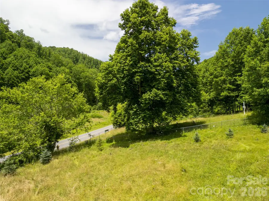 168 Smith Creek Road, Mars Hill, NC 28754 - #2
