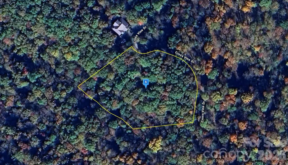 243 Cross Vine Drive, Tuckasegee, NC 28783 - #1