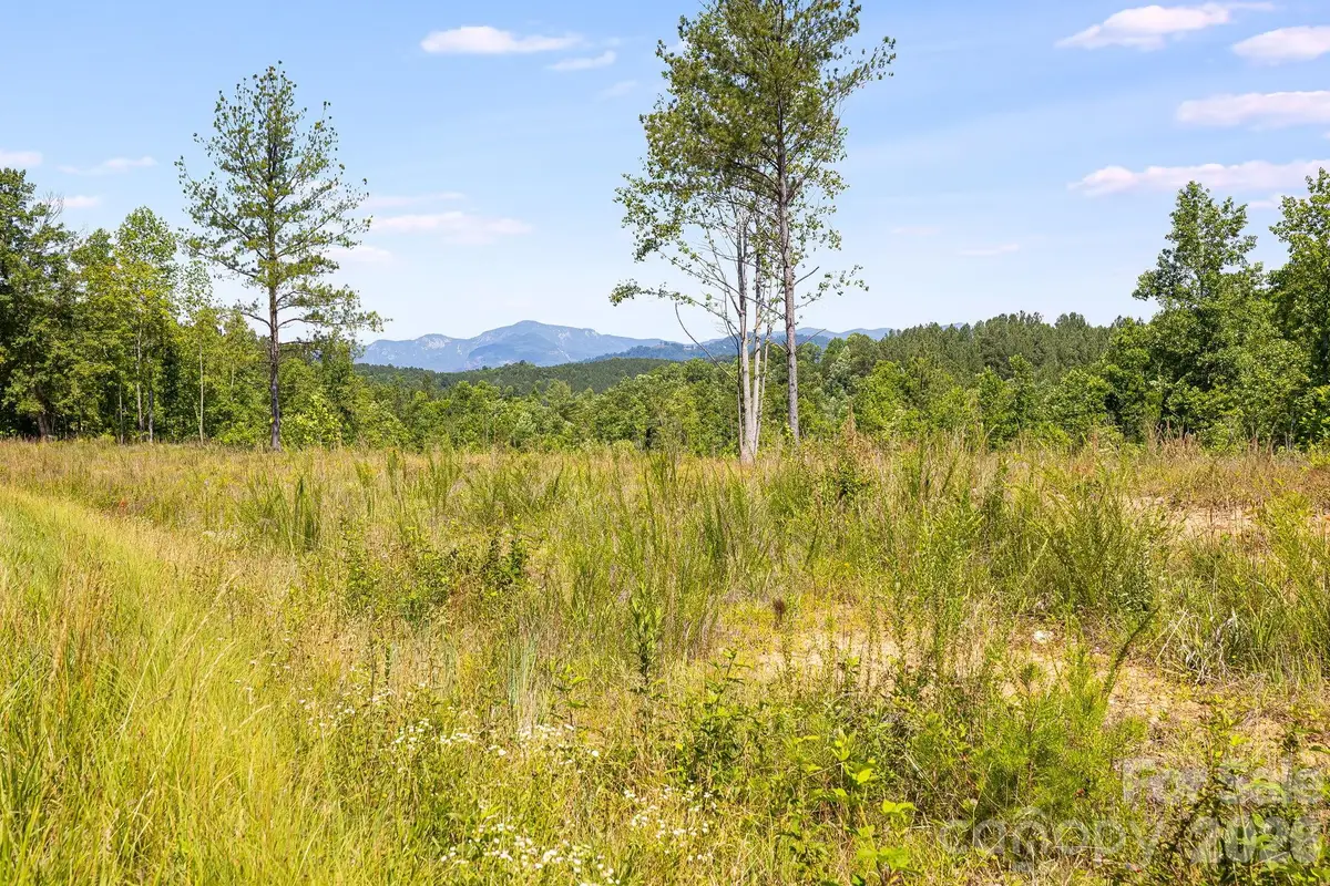 Lot #2 Clark Road, Rutherfordton, NC 28139 - #1