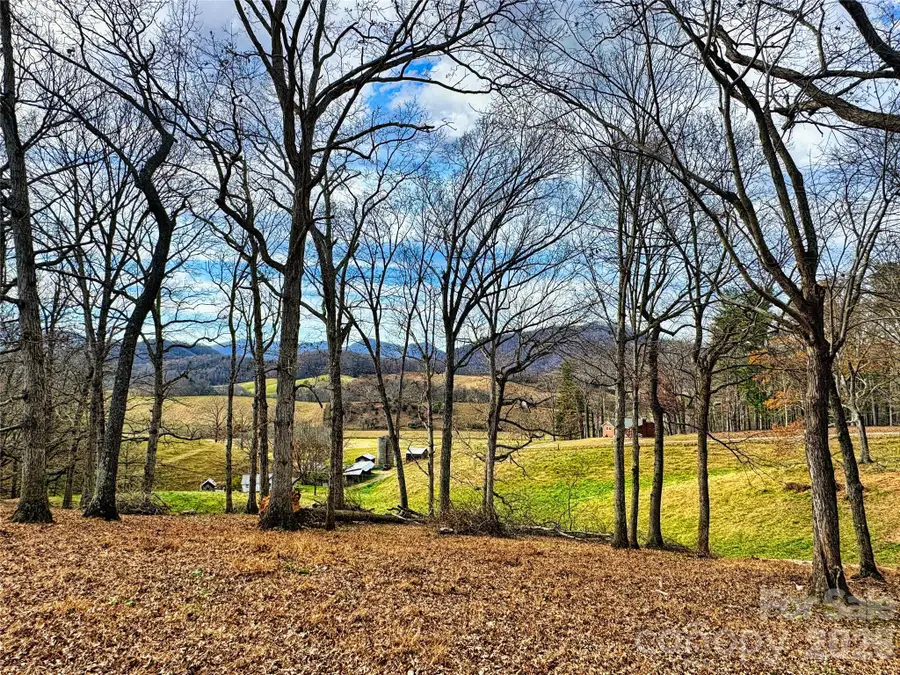 99999 Rabbit Ham Road, Leicester, NC 28748 - #2