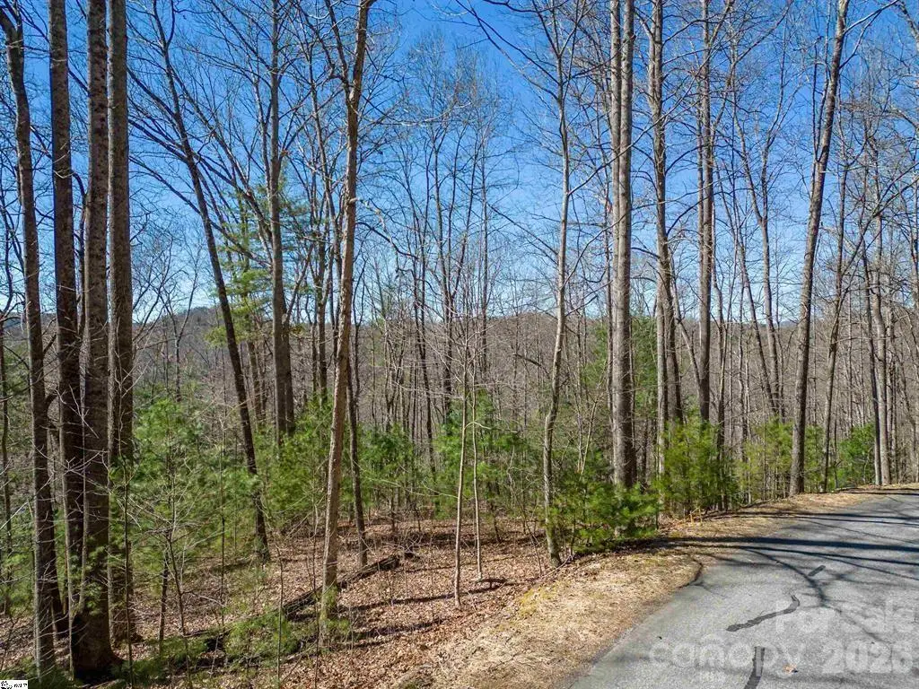 132 Overlook Park Drive #51, Hendersonville, NC 28792 - #1