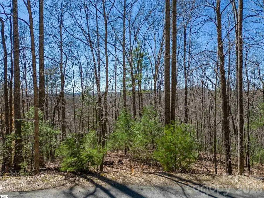 132 Overlook Park Drive #51, Hendersonville, NC 28792 - #2