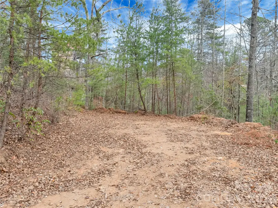 TBD Deep Woods Lane #102, Saluda, NC 28773 - #2