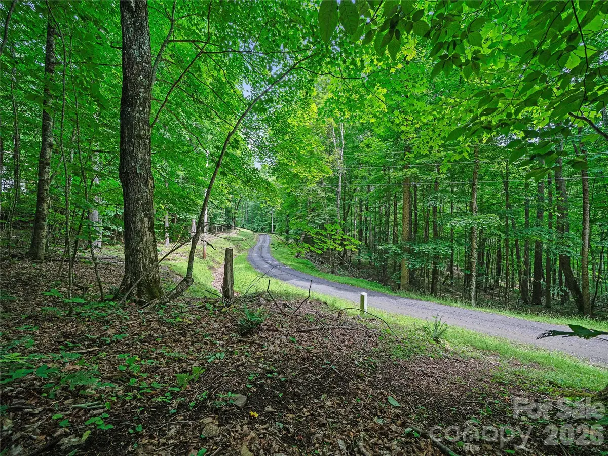 000 Shadow Moss Drive #8B, Burnsville, NC 28714 - #1