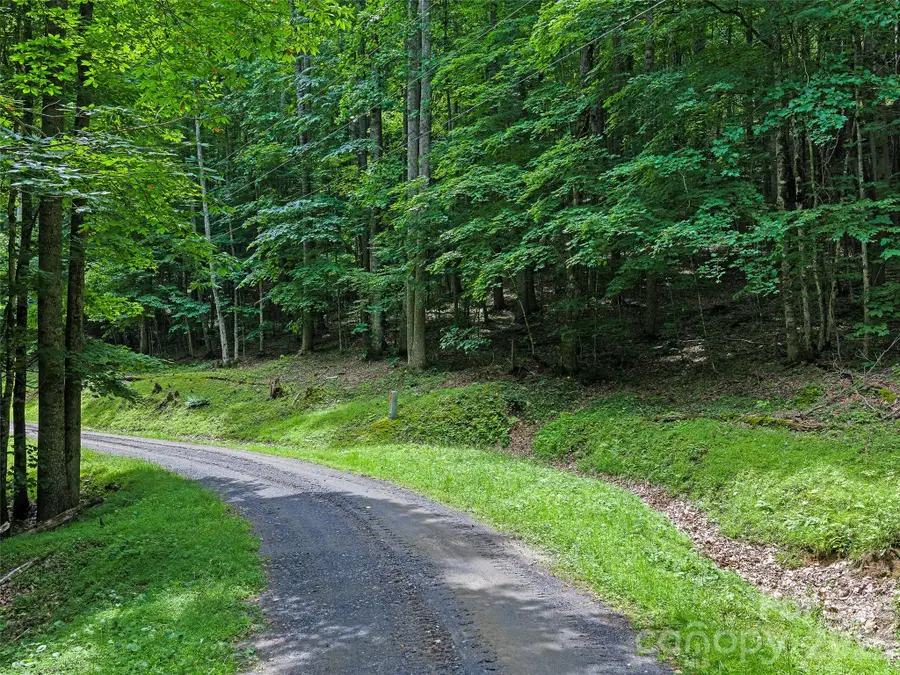 000 Shadow Moss Drive #8B, Burnsville, NC 28714 - #3