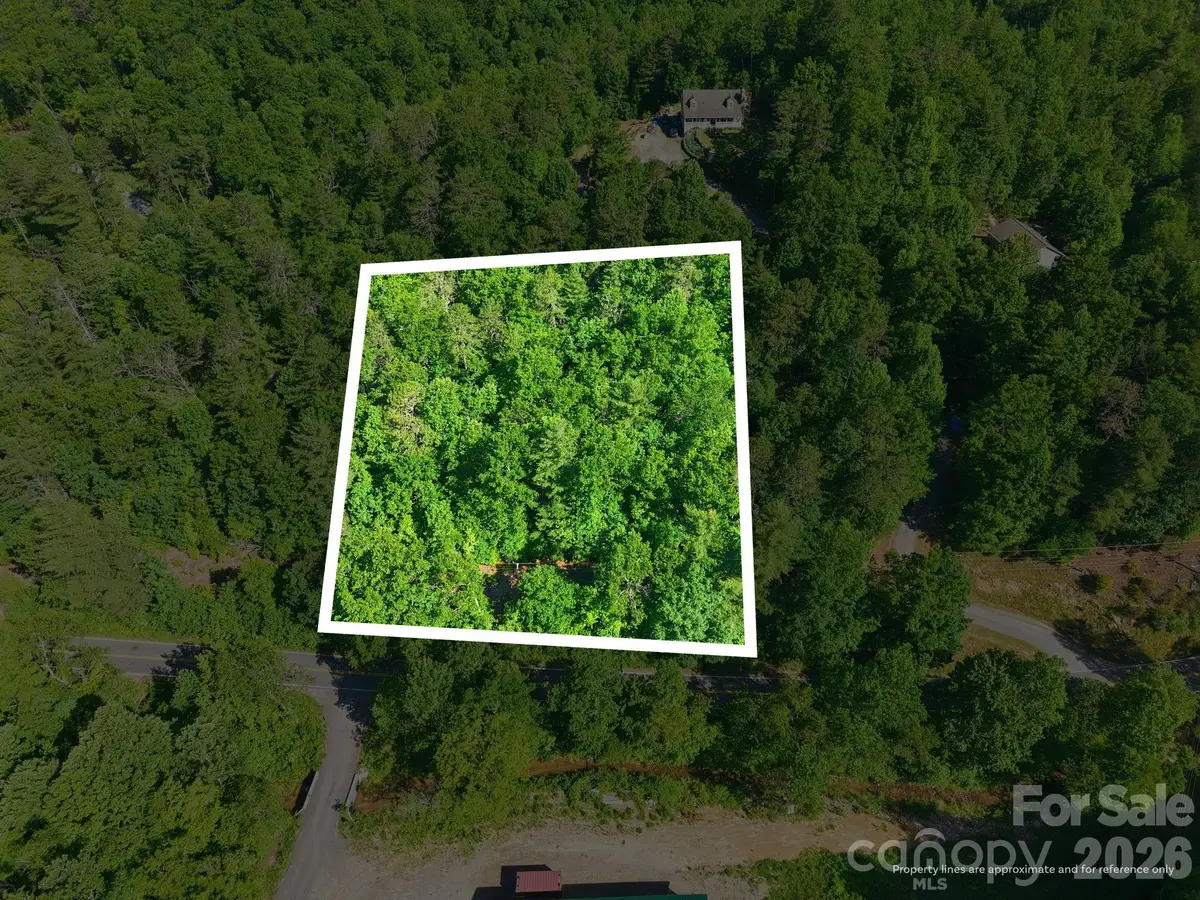 9999 Old Fort Road, Black Mountain, NC 28711 - #1