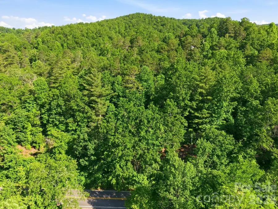 9999 Old Fort Road, Black Mountain, NC 28711 - #2