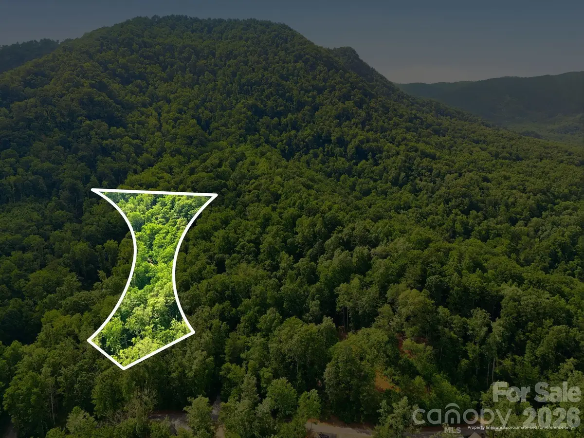 0000 Rocky Branch Trail, Marion, NC 28752 - #1