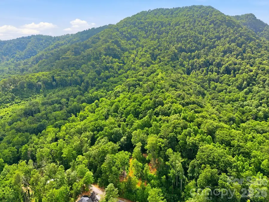 0000 Rocky Branch Trail, Marion, NC 28752 - #3