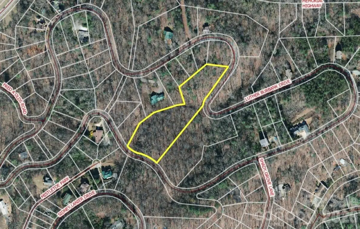 9999 Luther Burbank Drive, Lake Lure, NC 28746 - #1
