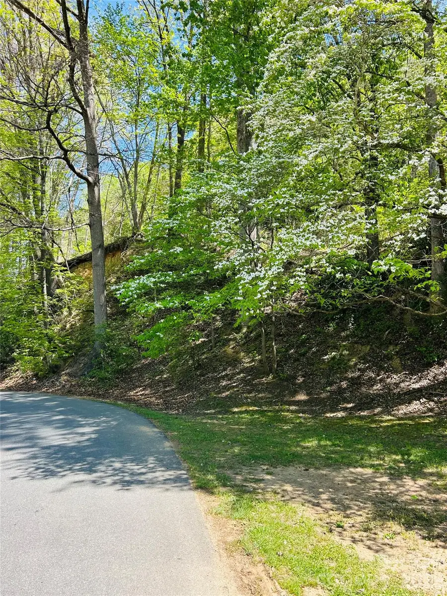 128 W Orchard Street, Old Fort, NC 28762 - #3