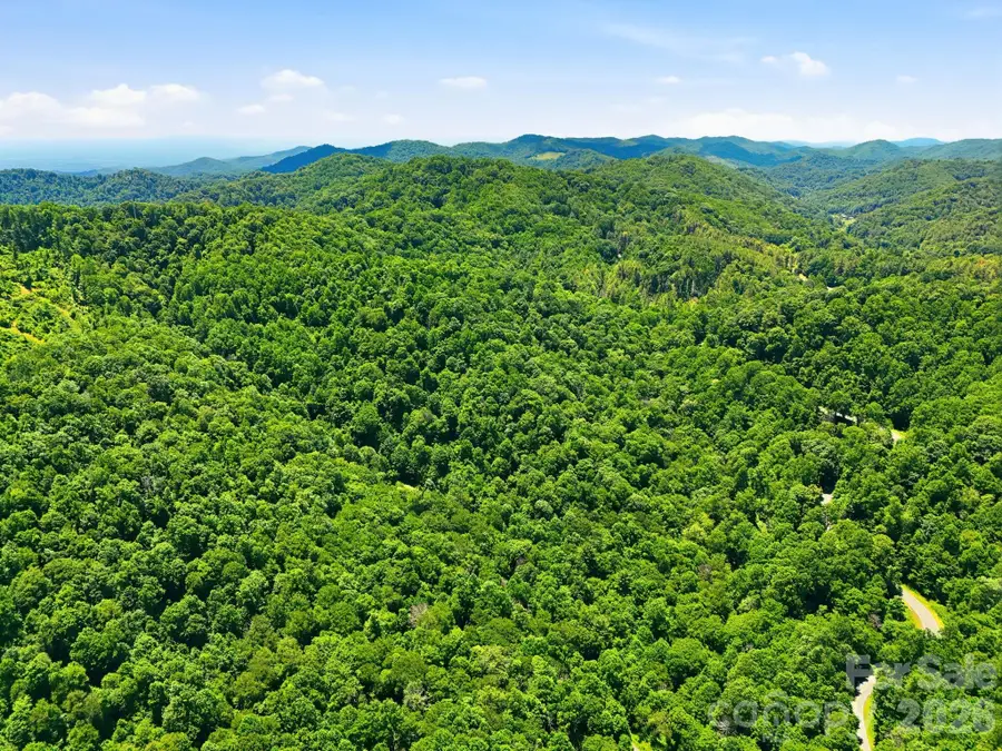 TBD Windy Gap Road #Tract B, Mars Hill, NC 28754 - #2