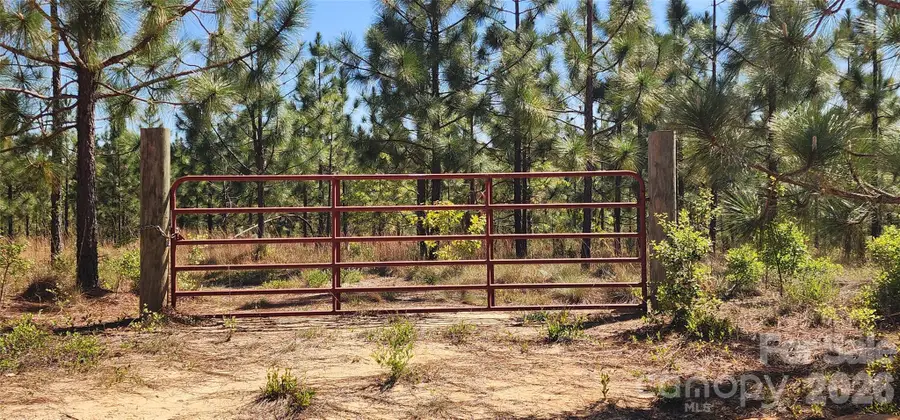 1045 Mcqueen Road, Patrick, SC 29584 - #2