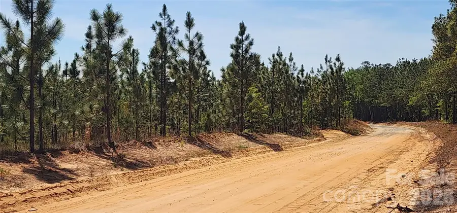 1045 Mcqueen Road, Patrick, SC 29584 - #3