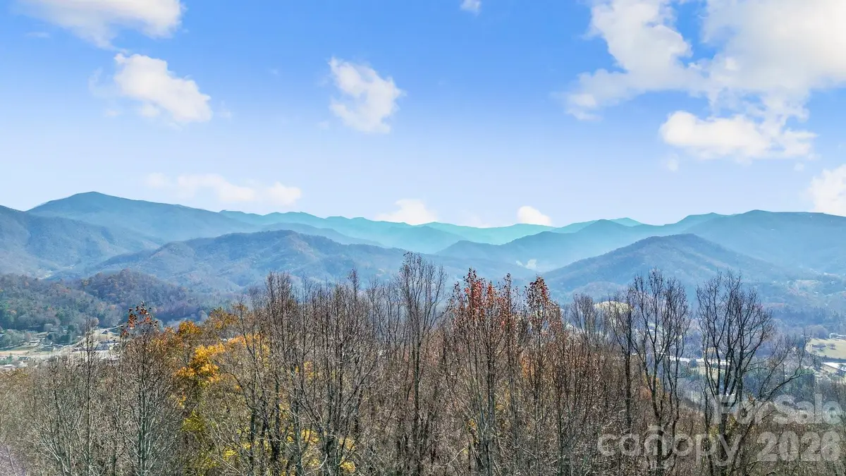 10 Peacock Lane #19, Burnsville, NC 28714 - #1