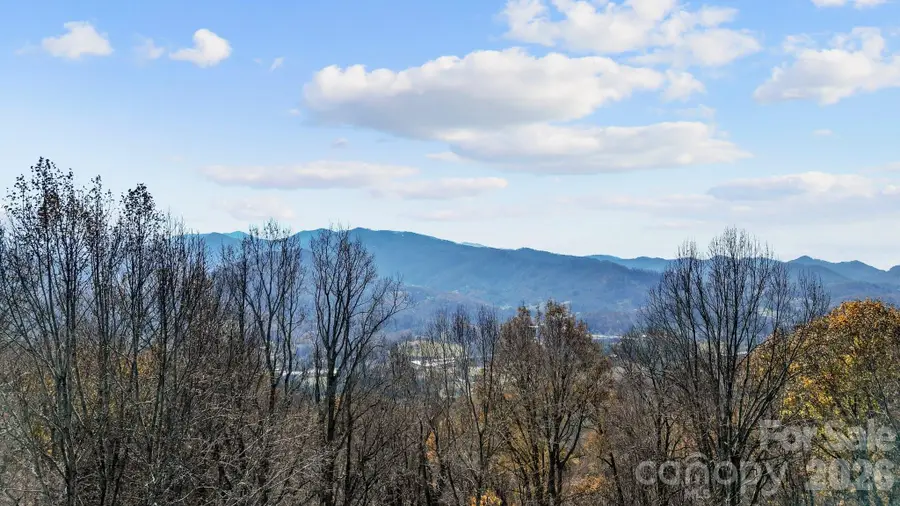 10 Peacock Lane #19, Burnsville, NC 28714 - #3