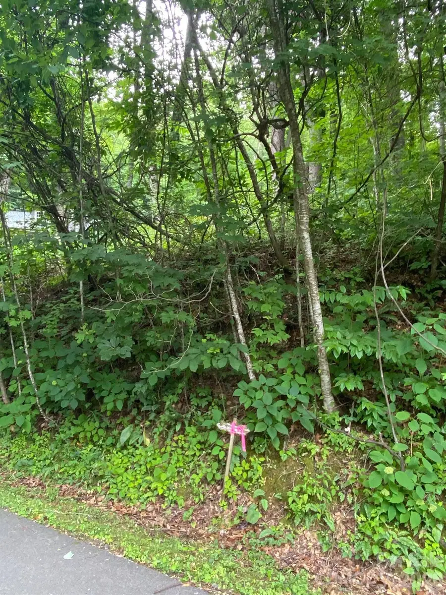 00 Aaron Way #21, Waynesville, NC 28786 - #2