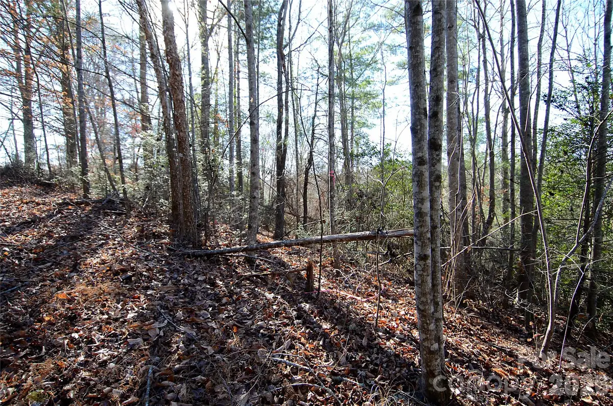 0 Wildwood Mountain Lane #8, Marion, NC 28752 - #1