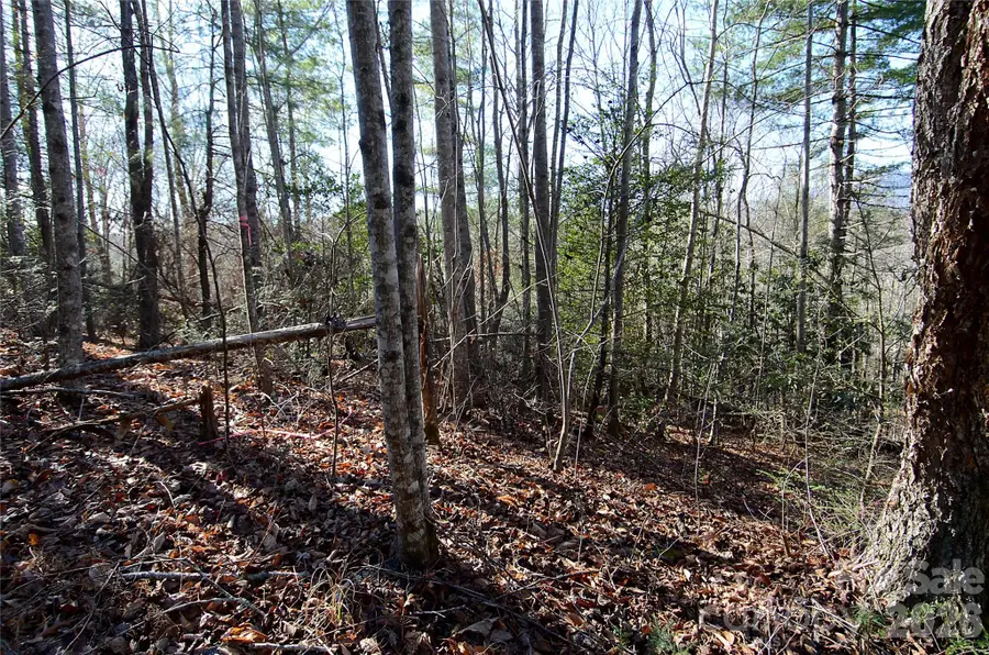 0 Wildwood Mountain Lane #8, Marion, NC 28752 - #2