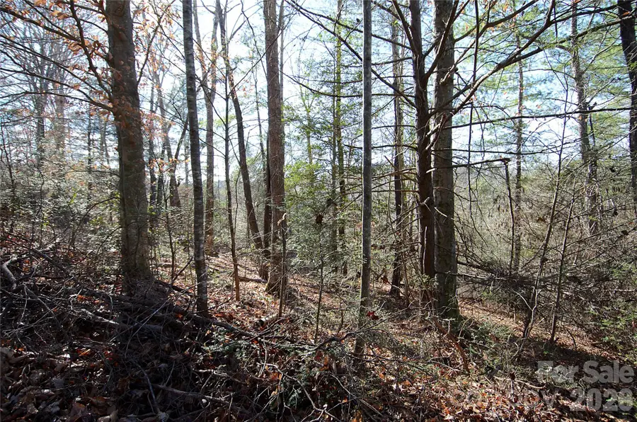 0 Wildwood Mountain Lane #8, Marion, NC 28752 - #3
