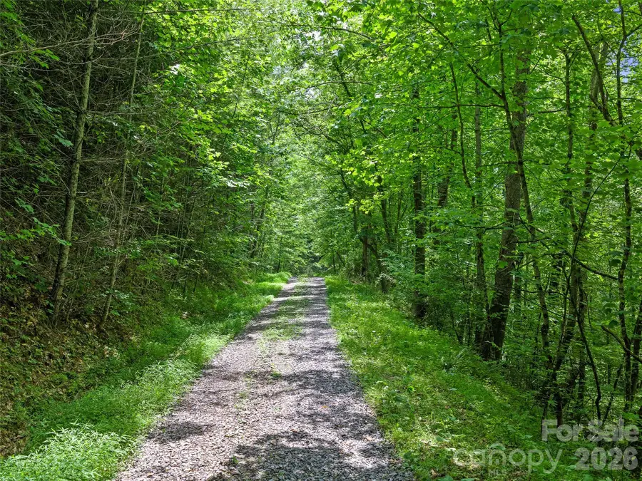 000 Hamlet Drive #1, Burnsville, NC 28714 - #2