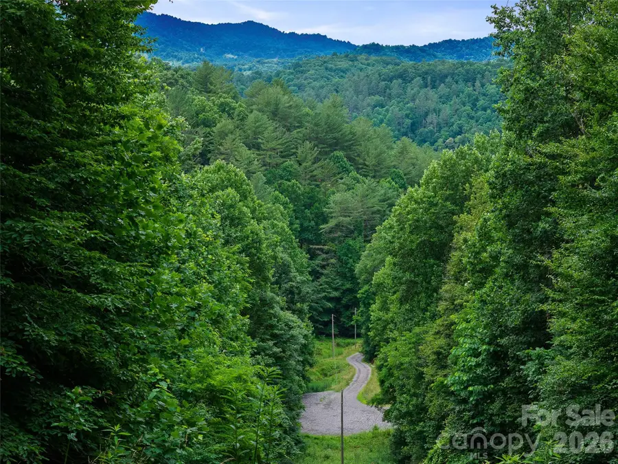000 Hamlet Drive #1, Burnsville, NC 28714 - #3