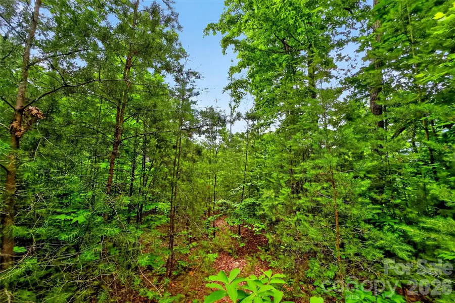 213 Mitchell View N #213MV, Old Fort, NC 28762 - #2