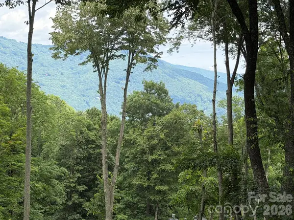 Lot 5 Gadohi Trail #5, Maggie Valley, NC 28751