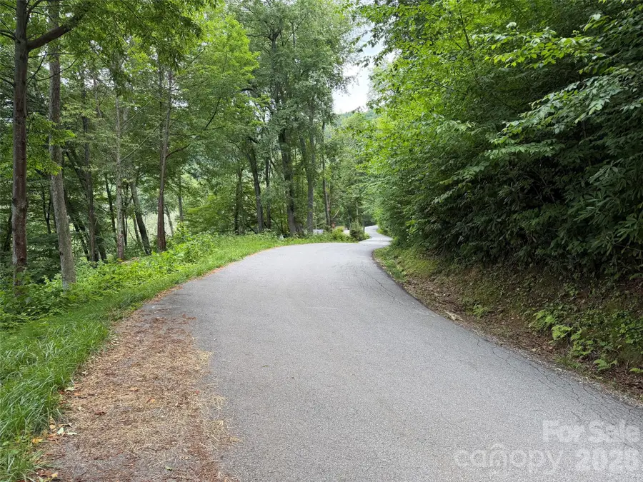Lot 5 Gadohi Trail #5, Maggie Valley, NC 28751 - #3