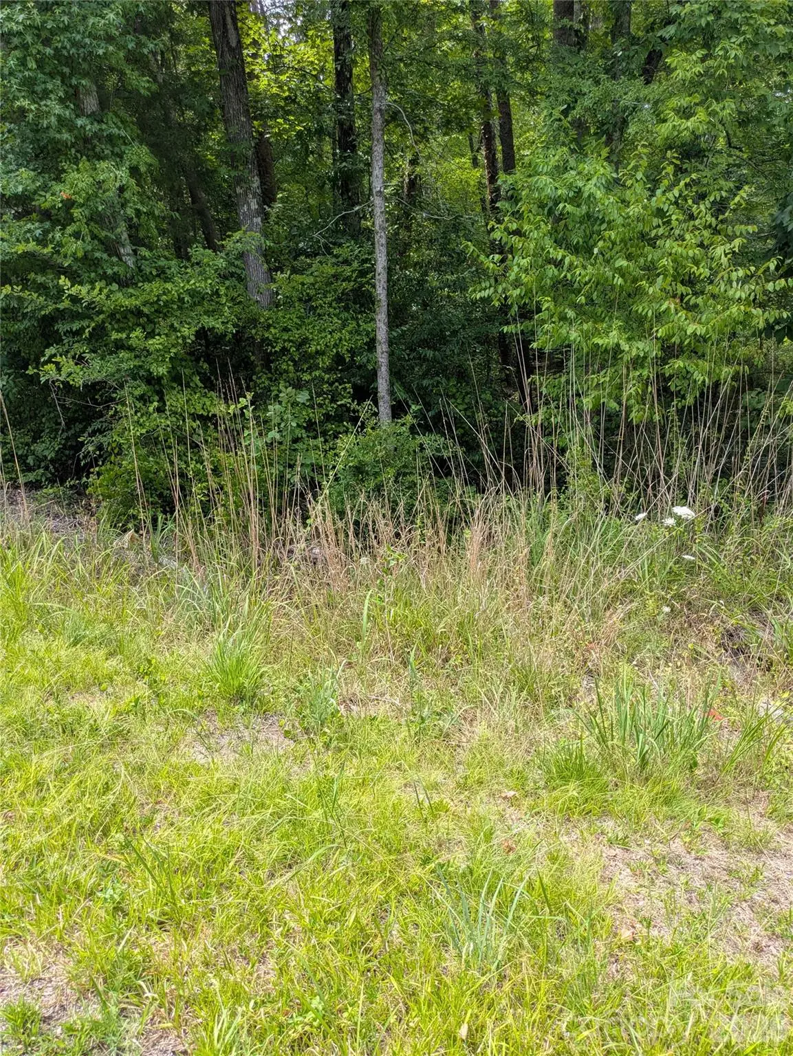 5860 Wildwood Drive, Salisbury, NC 28146 - #1