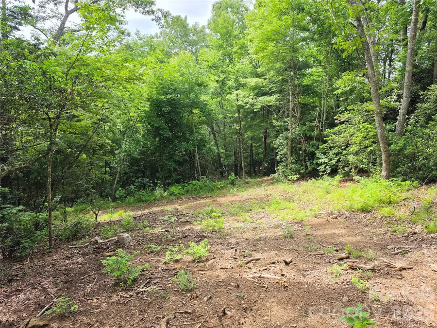 9999 Fairview Forest Drive, Fairview, NC 28730 - #2