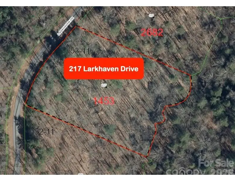 217 Larkhaven Drive #53-11, Nebo, NC 28761 - #3