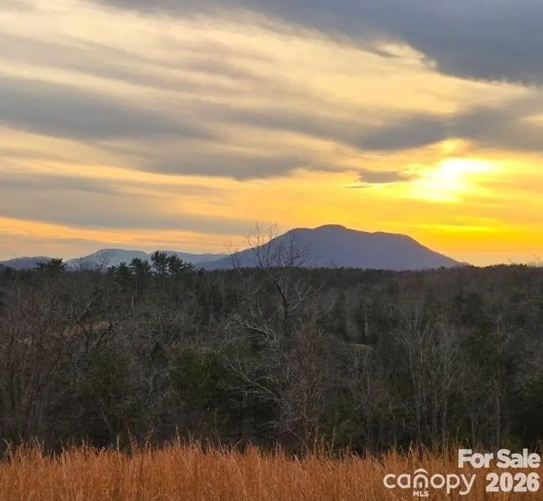 LOT #1 Price Summit Way, Mill Spring, NC 28756 - #1