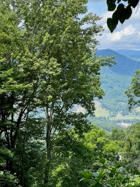 00 Utah Mountain Road, Waynesville, NC 28785 - #3