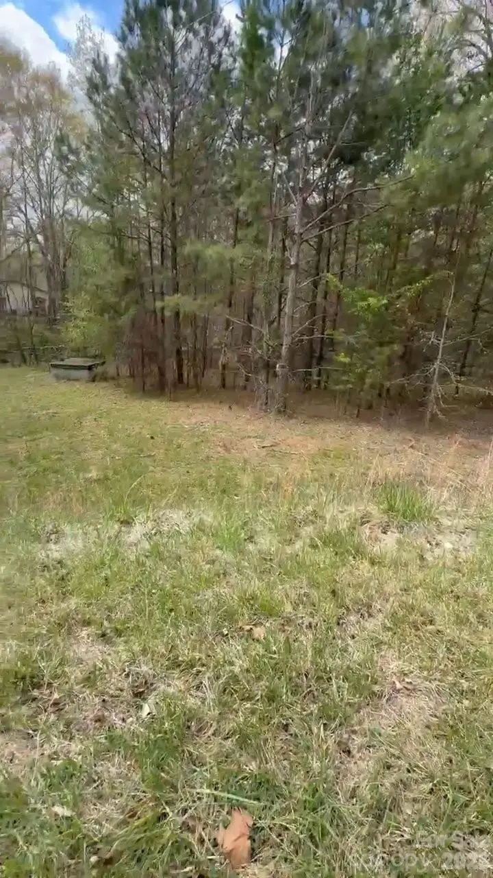 109 Church View Drive, Lawndale, NC 28090 - #1