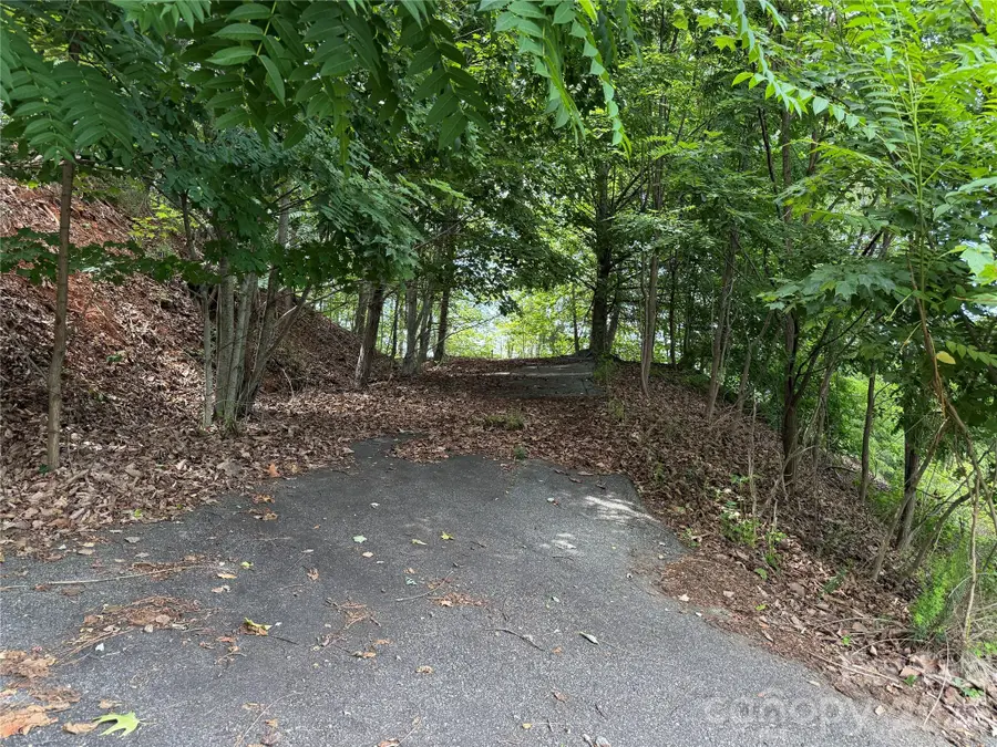 0 Scouts Trail #103, Bostic, NC 28018 - #3