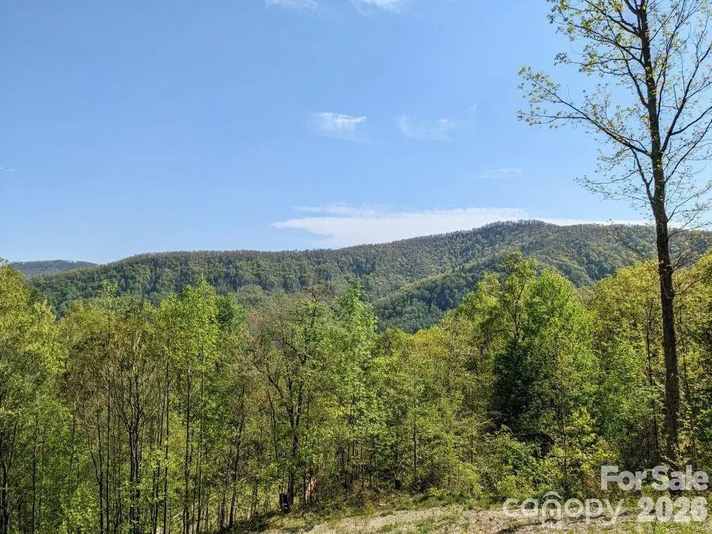351 Kestrel Lane #T-67, Black Mountain, NC 28711 - #1