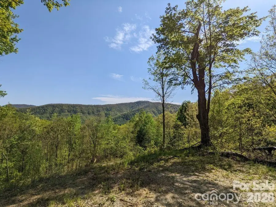 351 Kestrel Lane #T-67, Black Mountain, NC 28711 - #2