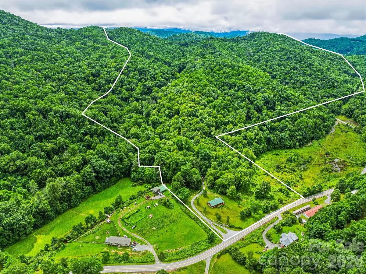 961 Wilson Branch Road, Mars Hill, NC 28754 - #1