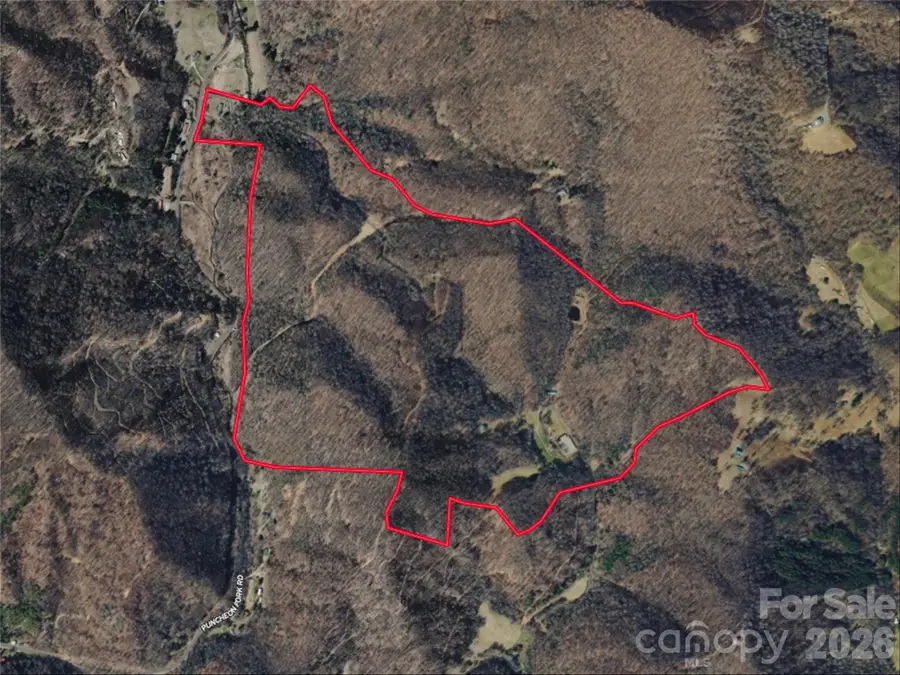 961 Wilson Branch Road, Mars Hill, NC 28754 - #2