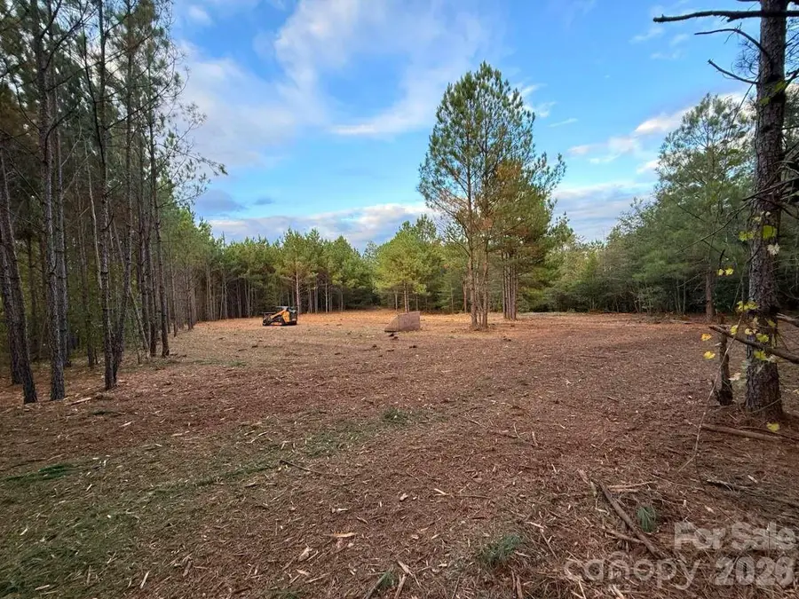 0 Steen Road, Mount Croghan, SC 29727 - #2