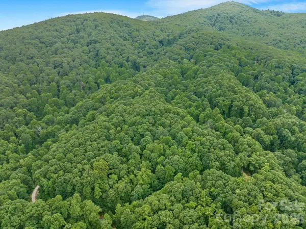8 Carls Cove Road, Black Mountain, NC 28711