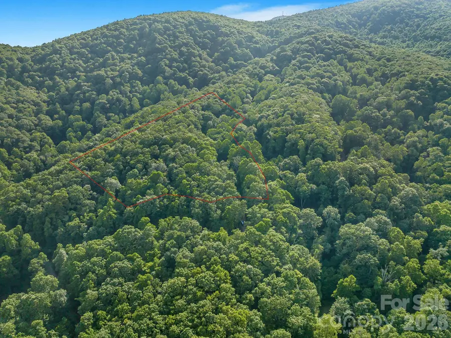 8 Carls Cove Road, Black Mountain, NC 28711 - #3