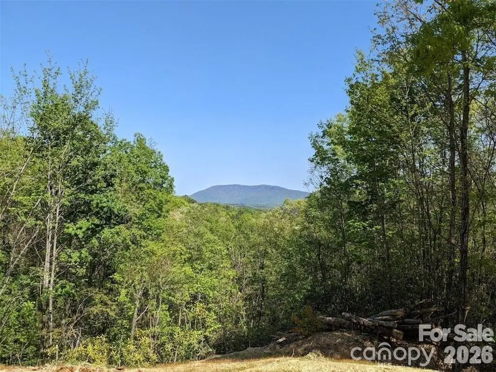 171 Nuthatch Lane #C-30, Black Mountain, NC 28711 - #1