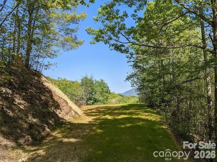 171 Nuthatch Lane #C-30, Black Mountain, NC 28711 - #2