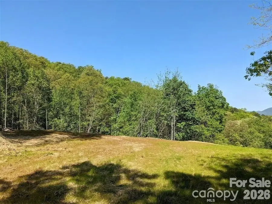 171 Nuthatch Lane #C-30, Black Mountain, NC 28711 - #3