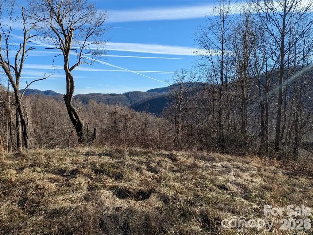 117 Ironwood Lane #C-20, Black Mountain, NC 28711 - #1