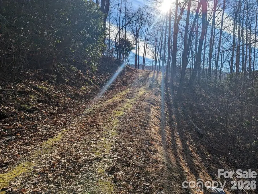 367 Kestrel Lane #T-85, Black Mountain, NC 28711 - #3