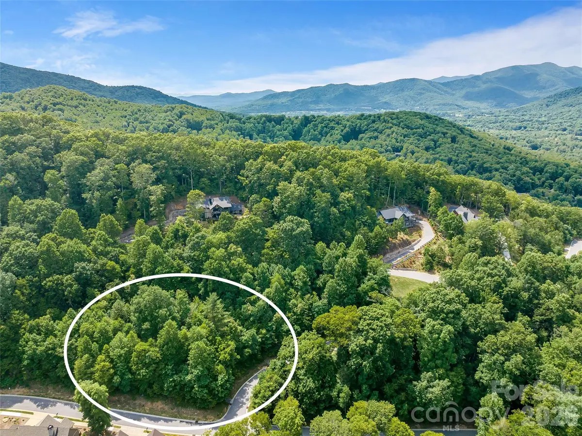 53 Old Lafayette Lane, Black Mountain, NC 28711 - #1